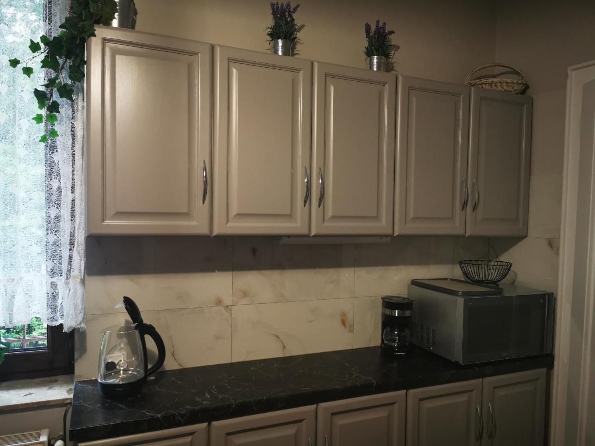 Apartament Mario Bezplatny Parking Bielsko-Biała Buitenkant foto