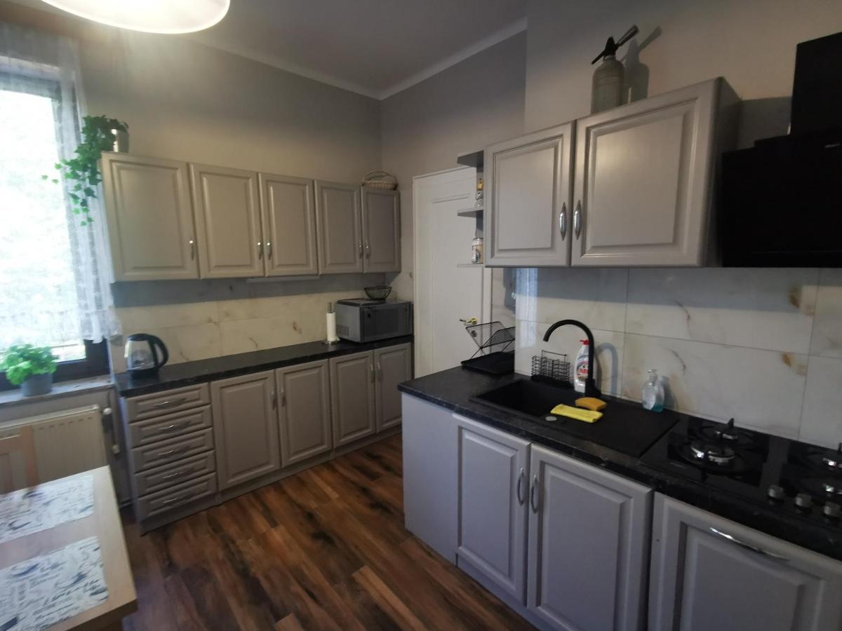 Apartament Mario Bezplatny Parking Bielsko-Biała Buitenkant foto